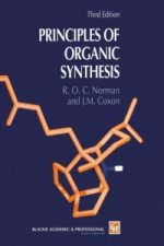 Principles of Organic Synthesis