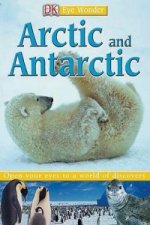 Artic and Antartic