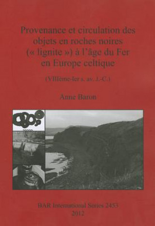 Provenance et circulation des objets en roches noires (