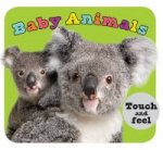 Baby Animals