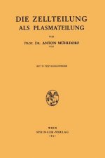 Die Zellteilung ALS Plasmateilung