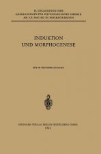 Induktion Und Morphogenese