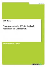 Praktikumsbericht SP3 fur das Fach Italienisch am Gymnasium