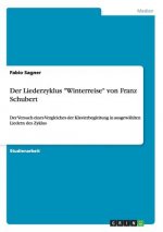 Liederzyklus Winterreise von Franz Schubert