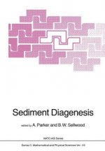 Sediment Diagenesis