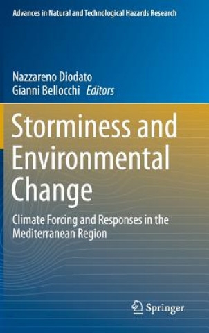 Storminess and Environmental Change