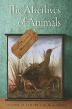 Afterlives of Animals