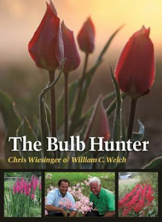 Bulb Hunter