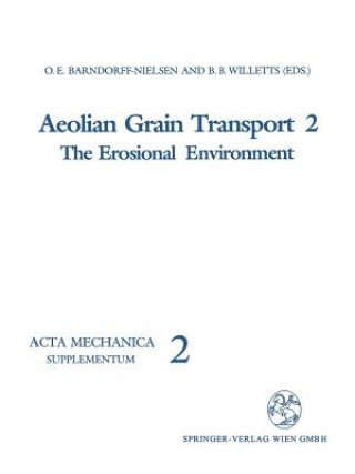Aeolian Grain Transport