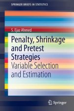 Penalty, Shrinkage and Pretest Strategies
