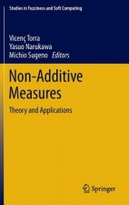 Non-Additive Measures