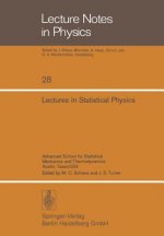 Lectures in Statistical Physics