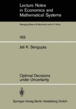 Optimal Decisions under Uncertainty