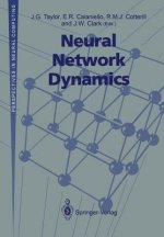 Neural Network Dynamics