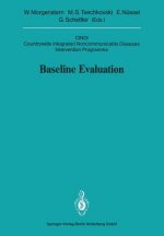 Baseline Evaluation