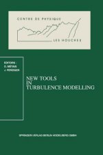 New Tools in Turbulence Modelling