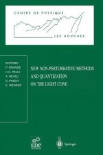 New Non-Perturbative Methods and Quantization on the Light Cone