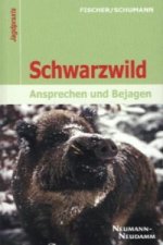 Schwarzwild