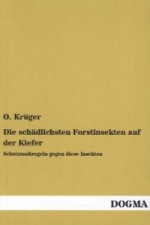 Die schädlichsten Forstinsekten auf der Kiefer