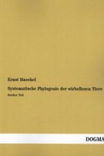 Systematische Phylogenie der Protisten und Pflanzen. Tl.2