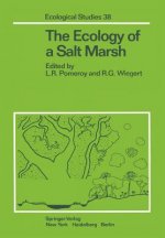Ecology of a Salt Marsh