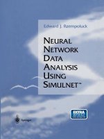 Neural Network Data Analysis Using Simulnet (TM)