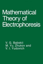 Mathematical Theory of Electrophoresis