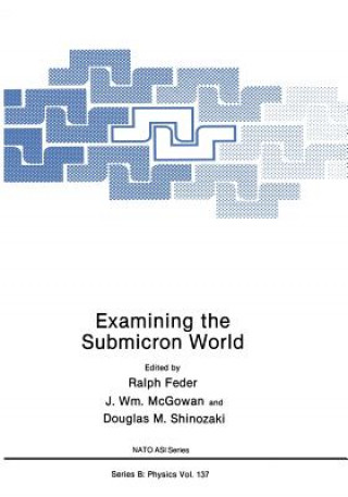 Examining the Submicron World