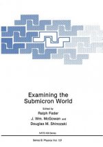 Examining the Submicron World