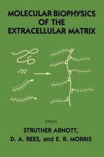 Molecular Biophysics of the Extracellular Matrix