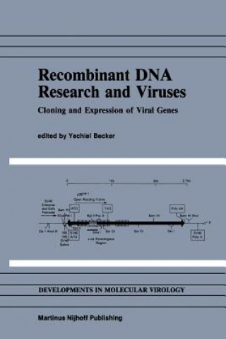 Recombinant DNA Research and Viruses