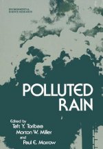 Polluted Rain