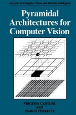 Pyramidal Architectures for Computer Vision