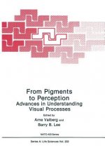 From Pigments to Perception