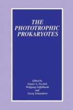 Phototrophic Prokaryotes