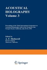 Acoustical Holography