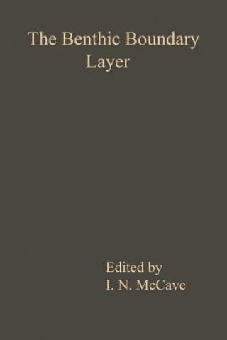 Benthic Boundary Layer