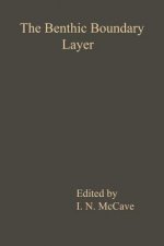 Benthic Boundary Layer