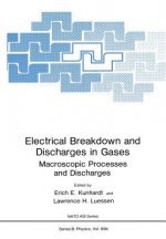 Electrical Breakdown and Discharges in Gases