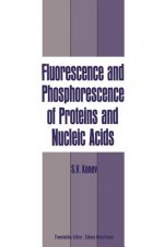 Fluorescence and Phosphorescence of Proteins and Nucleic Acids