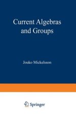 Current Algebras and Groups