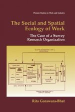Social and Spatial Ecology of Work
