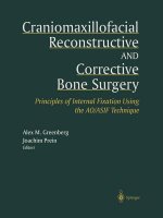 Craniomaxillofacial Reconstructive and Corrective Bone Surgery