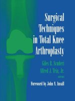 Surgical Techniques in Total Knee Arthroplasty