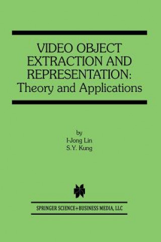 Video Object Extraction and Representation