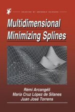 Multidimensional Minimizing Splines
