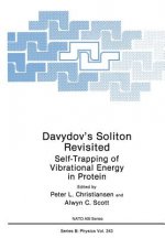 Davydov's Soliton Revisited