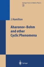 Aharonov-Bohm and other Cyclic Phenomena