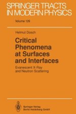 Critical Phenomena at Surfaces and Interfaces