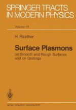 Surface Plasmons on Smooth and Rough Surfaces and on Gratings